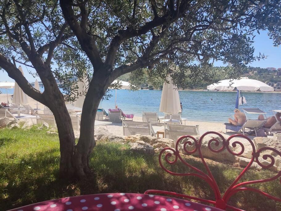 Bird View Apartment Carlissima Τρογκίρ Εξωτερικό φωτογραφία